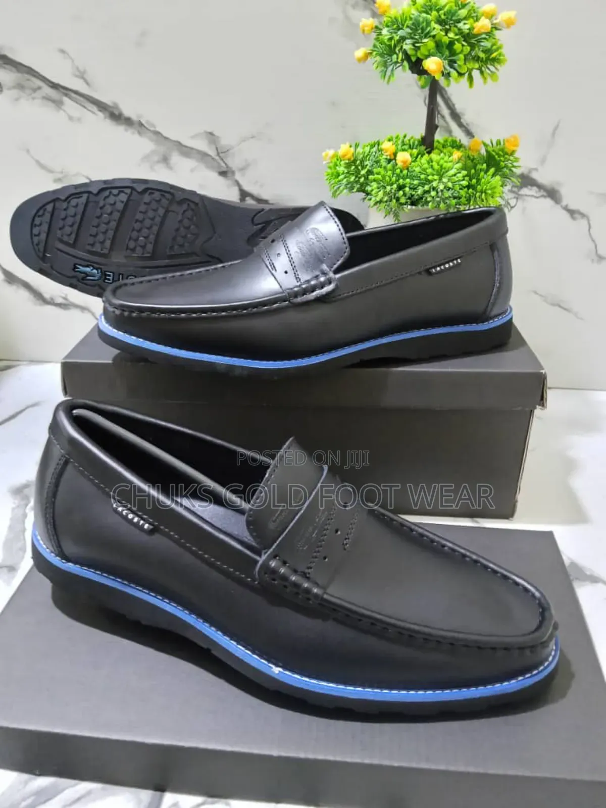 Original Lacoste Shoes Now Available Where Comfort Meets Timeless Styl