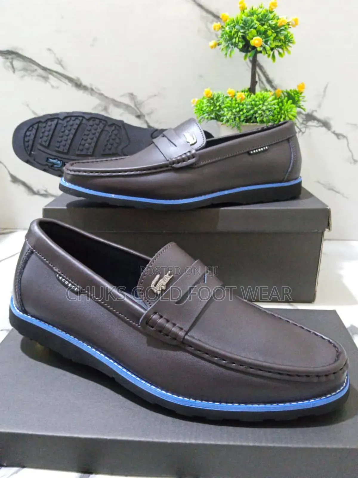 Original Lacoste Shoes Now Available Where Comfort Meets Timeless Styl