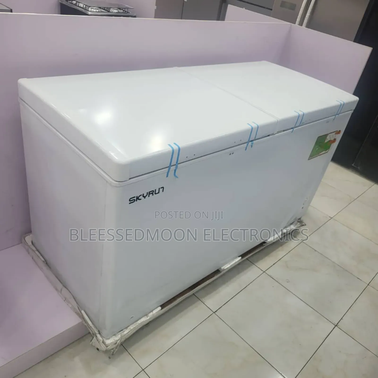 Skyrun Low Voltage 6fit Freezer Double Doors 3 Years Warranty