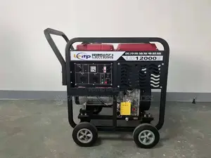 Industrial Generator