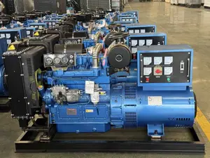 Industrial Generator