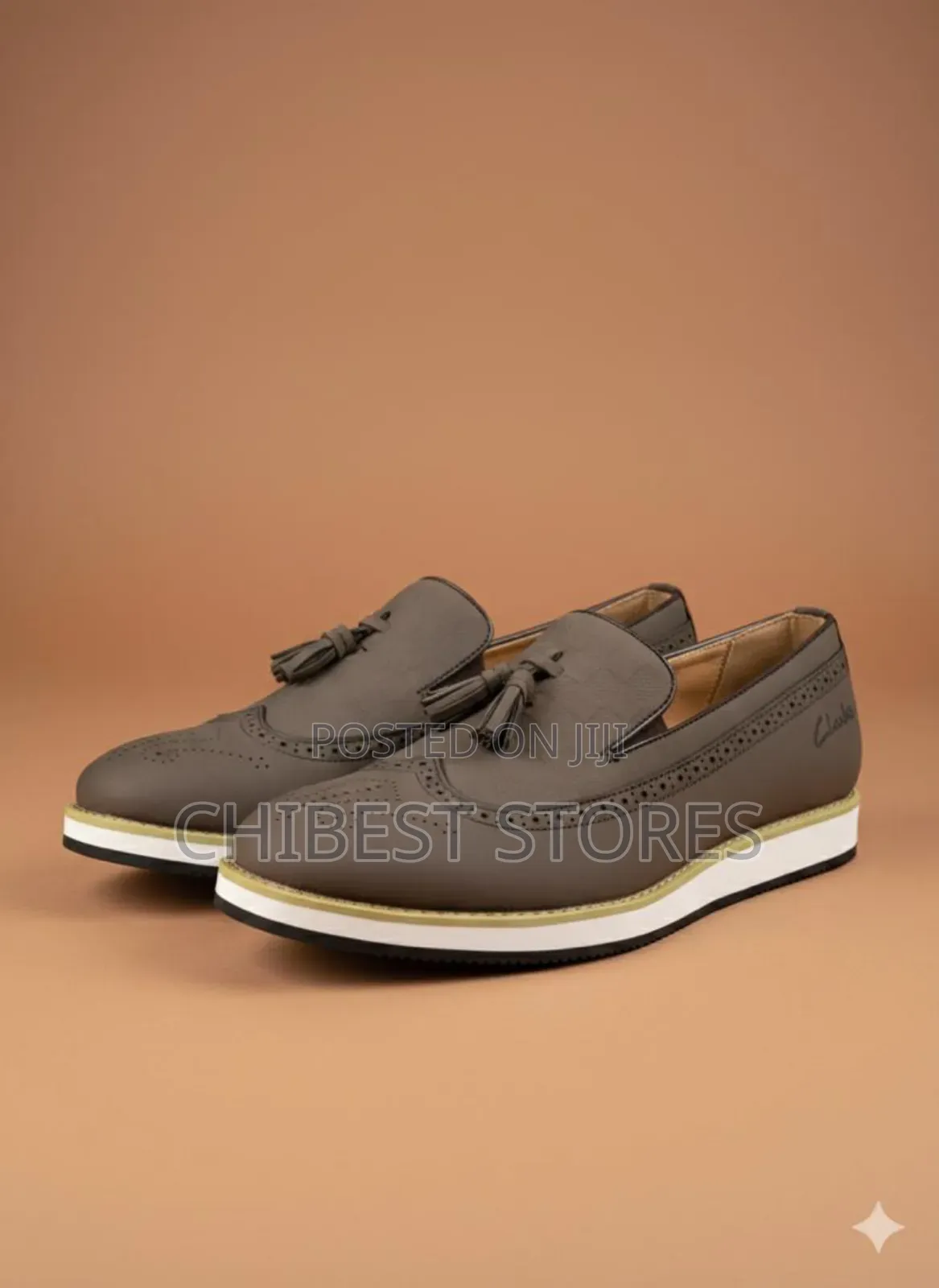 Clarks Mens Shoes