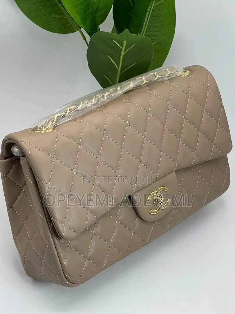 Croc Chain Bag