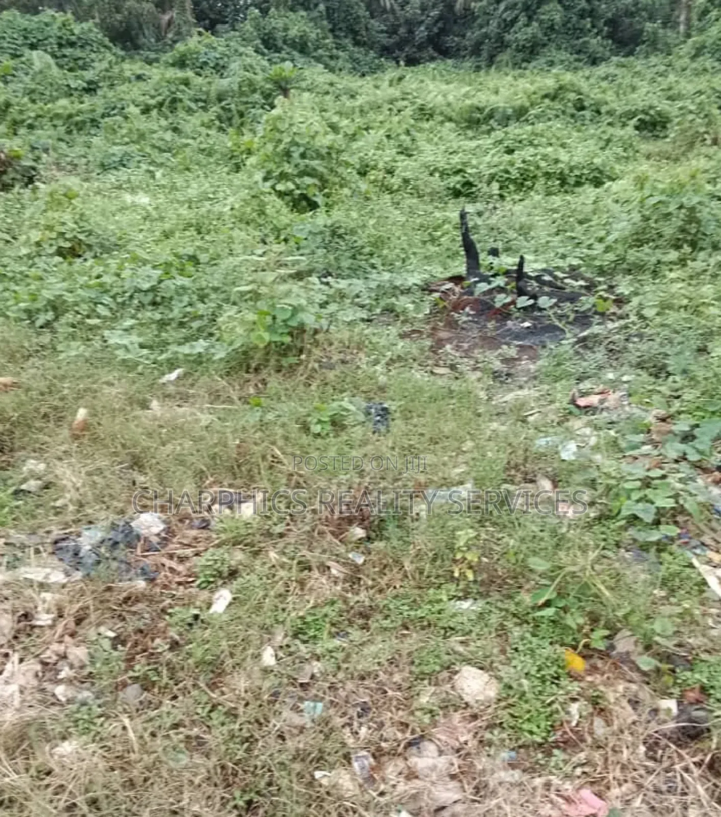 Half Plot of Land at Agric Ikorodu