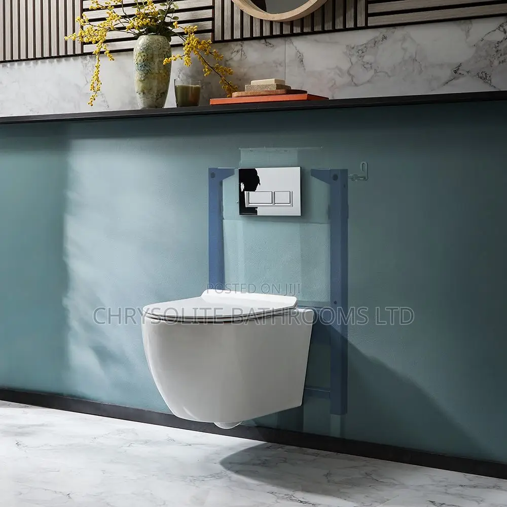 Wall-Hung Water Closet