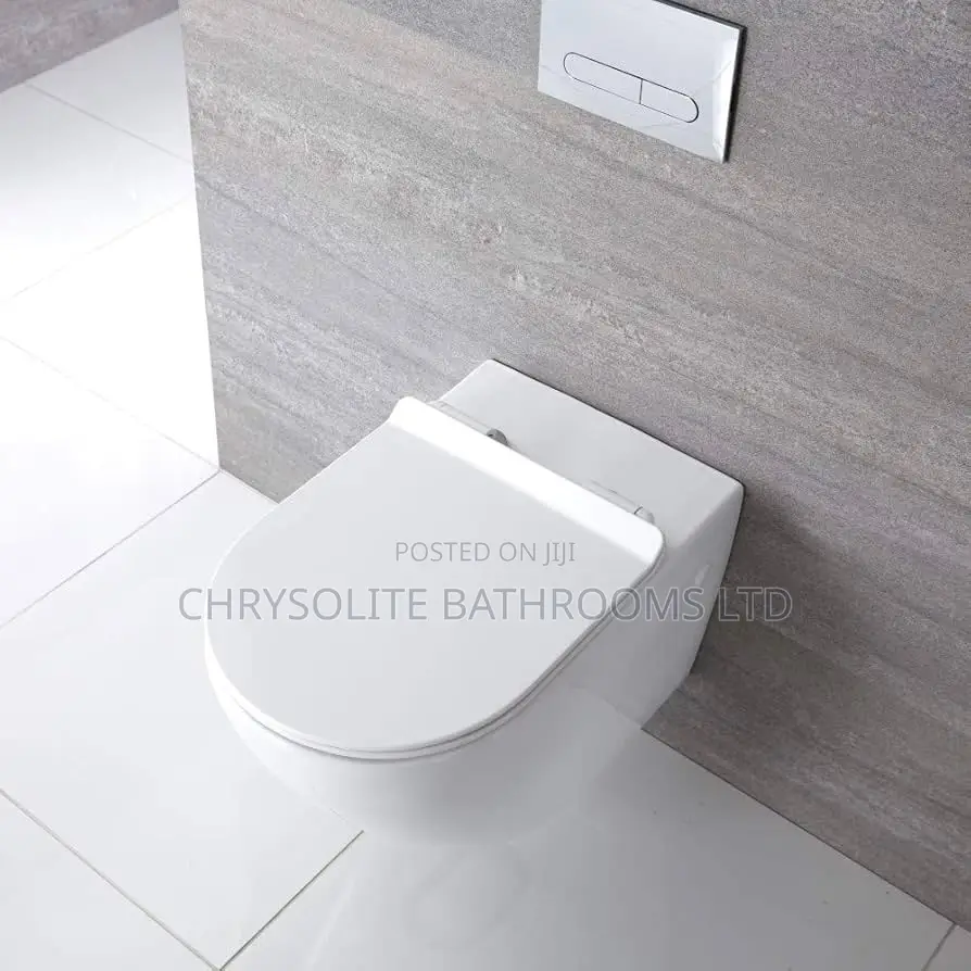 Wall-Hung Water Closet