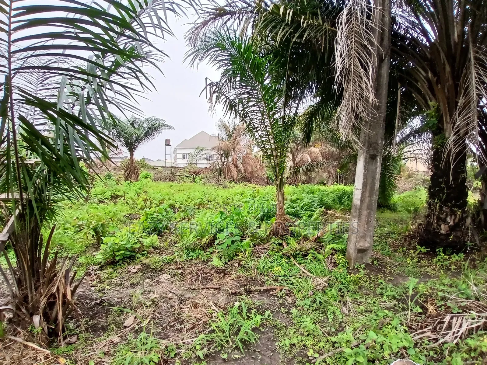 12plots of Dry Land (2 Acres) in Ajah