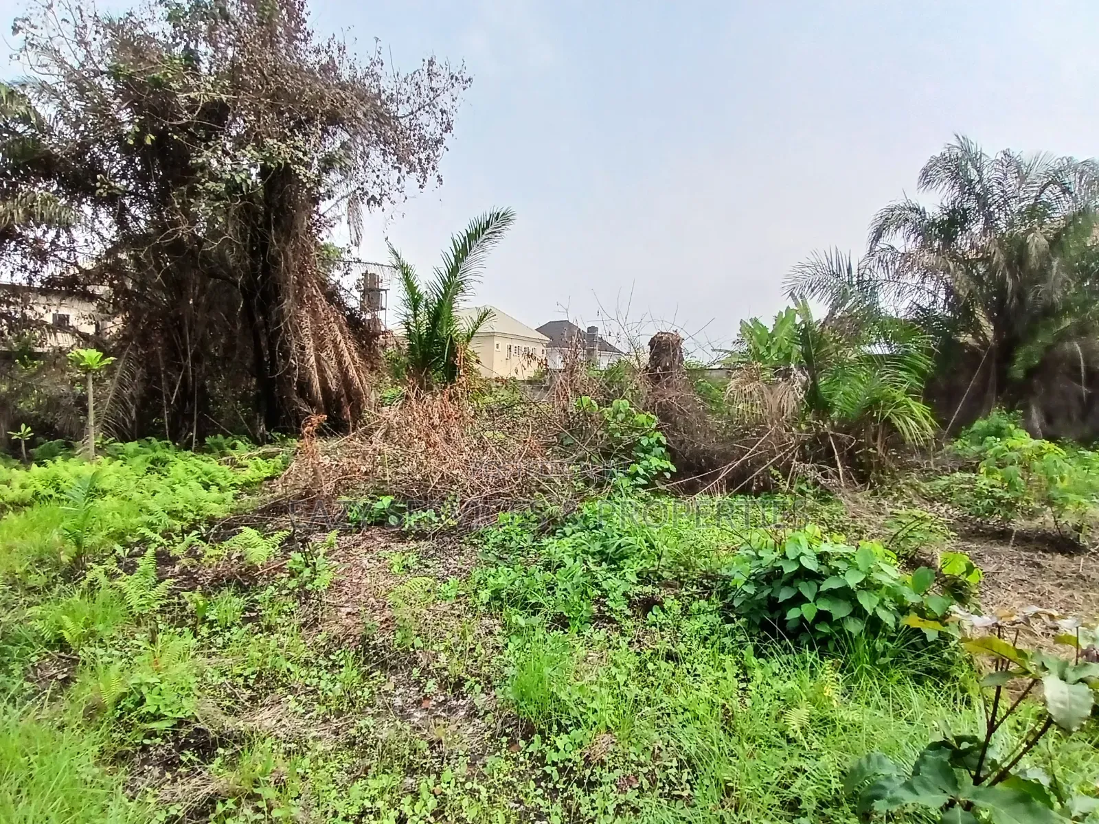 12plots of Dry Land (2 Acres) in Ajah