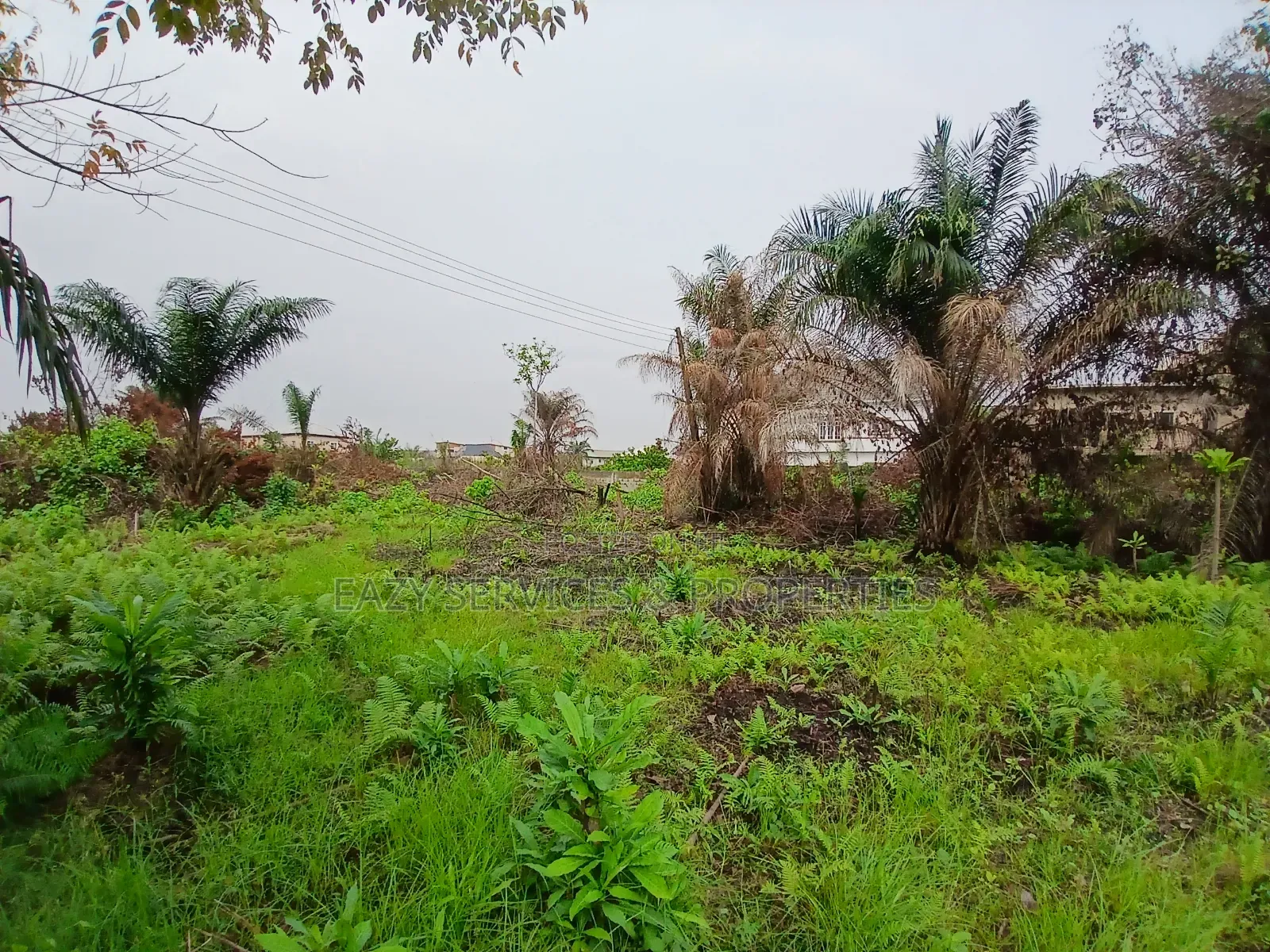 12plots of Dry Land (2 Acres) in Ajah