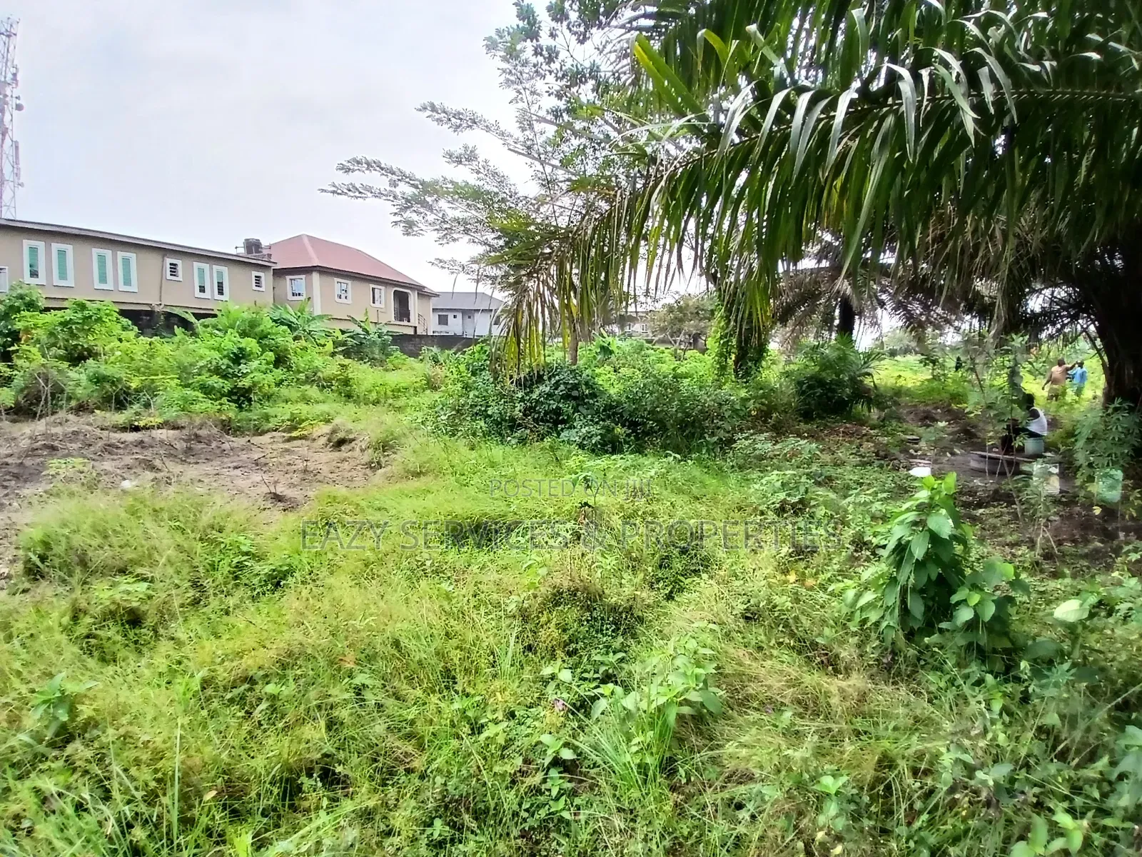 12plots of Dry Land (2 Acres) in Ajah