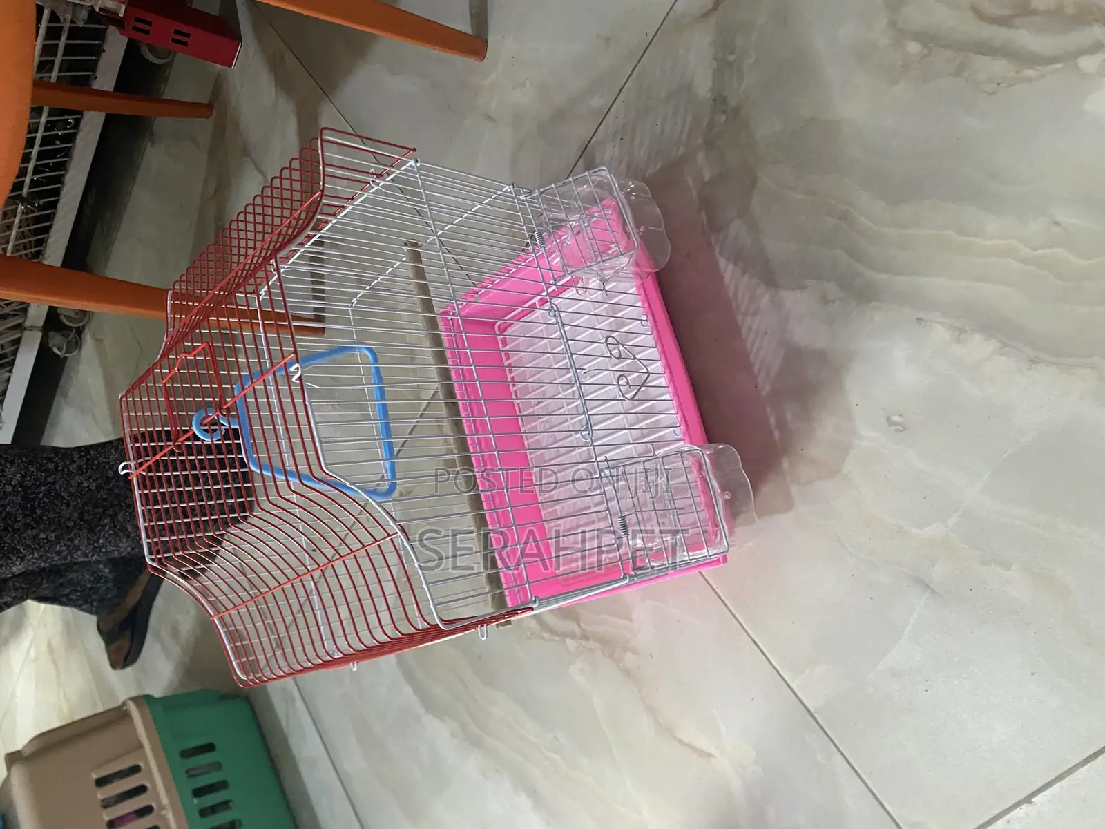 Birds Cage’S Available for Sale