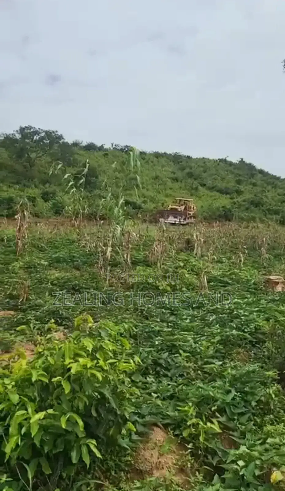 Plot of Land