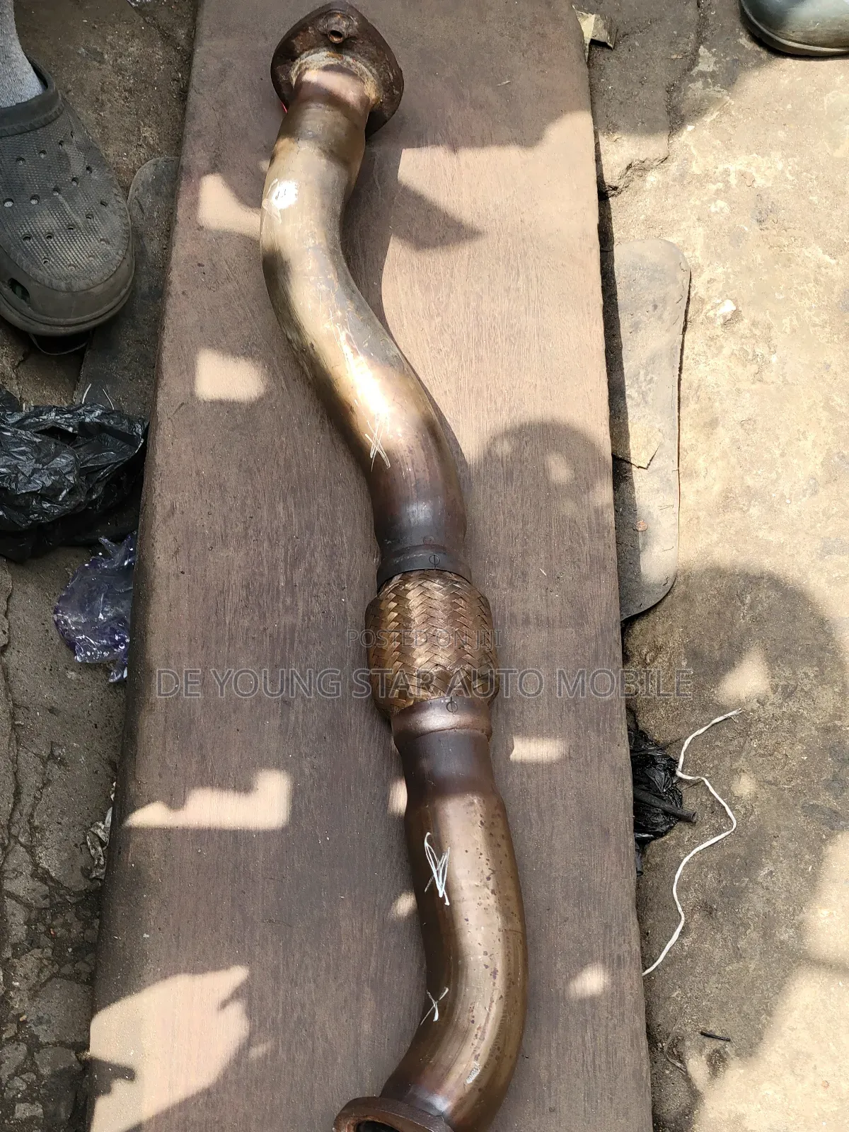 Exushus Net for Lexus Rx300