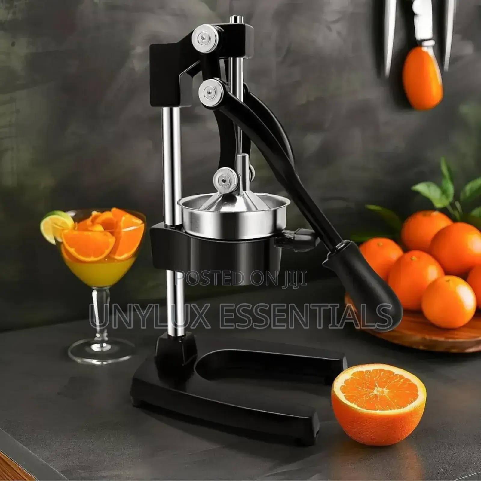 Big Manual Hand Juicer