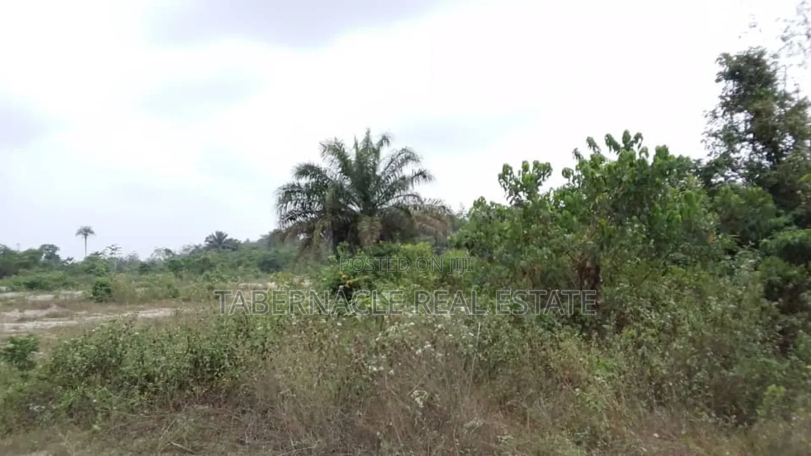 A Plot of Land for Sale (Landbanking Investment)