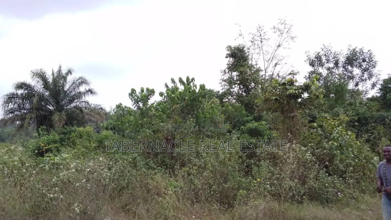 A Plot of Land for Sale (Landbanking Investment)