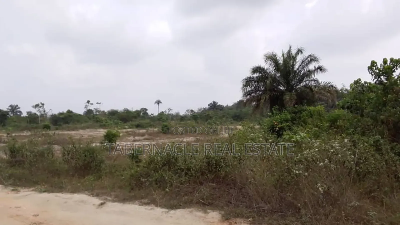 A Plot of Land for Sale (Landbanking Investment)