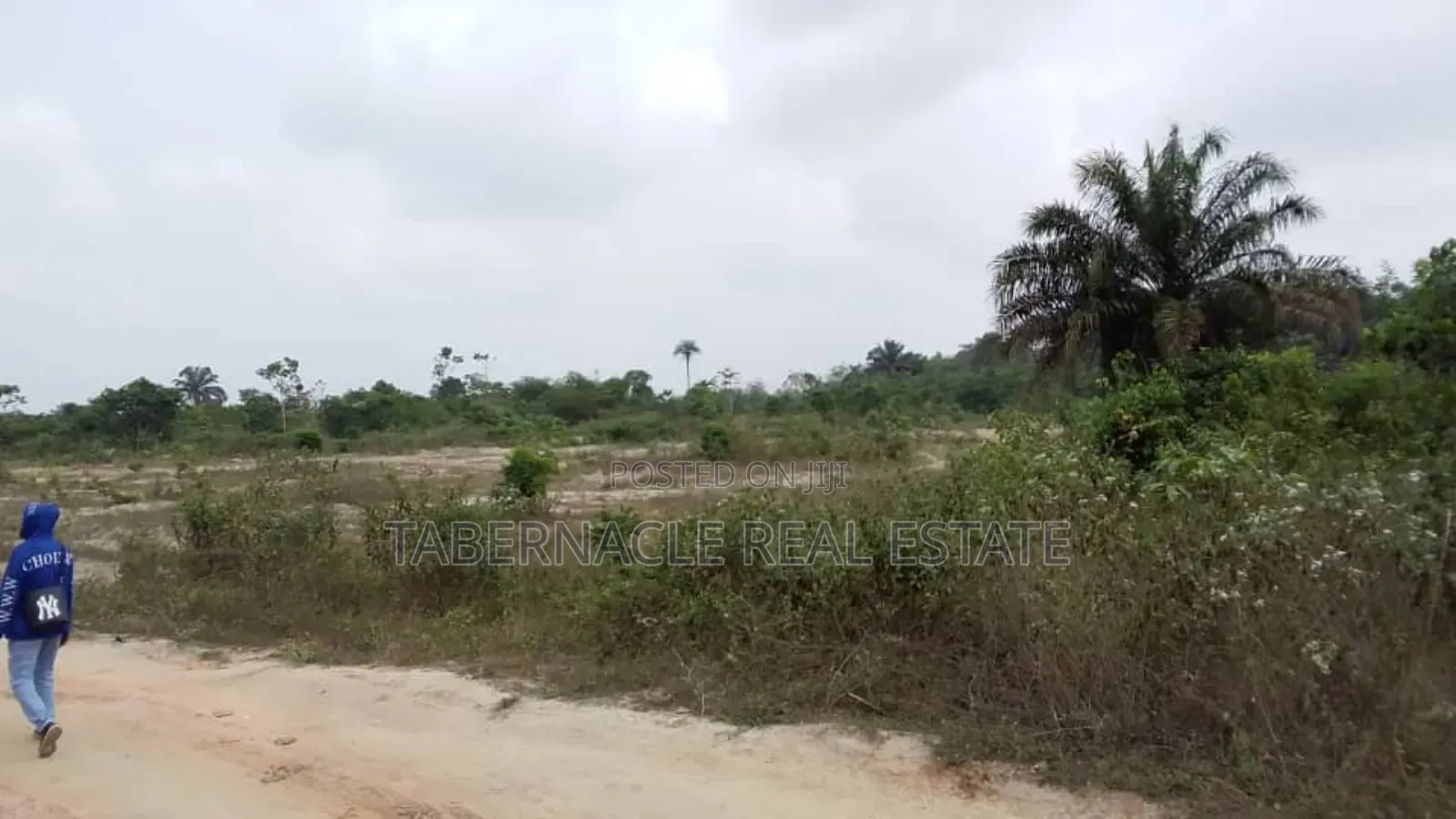 A Plot of Land for Sale (Landbanking Investment)