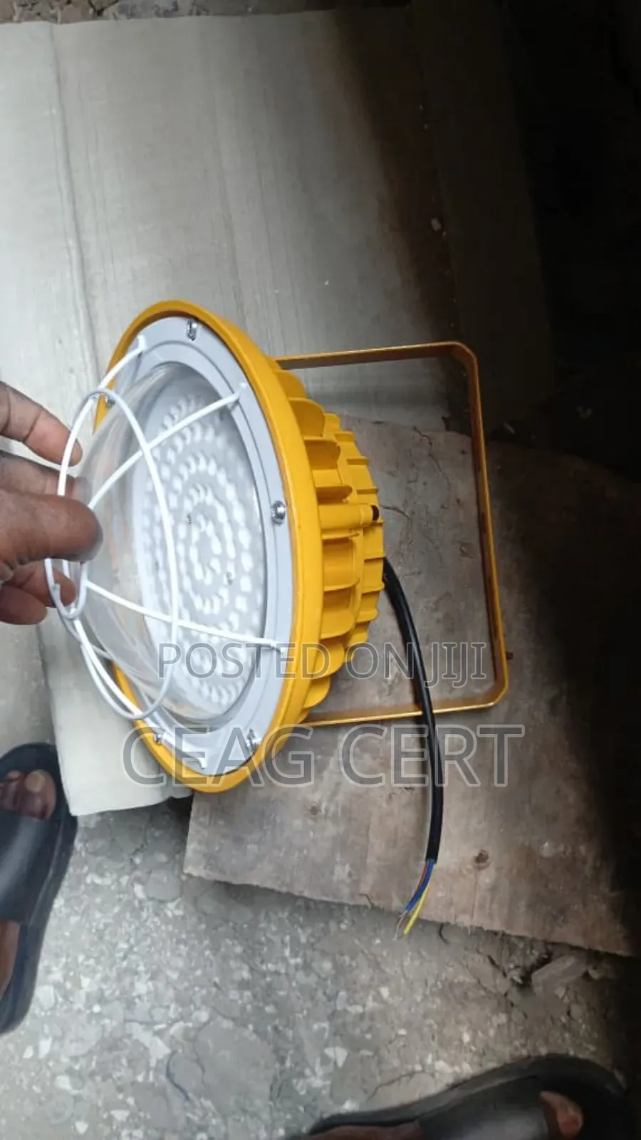 100w Explosion Proof Dropping Light
