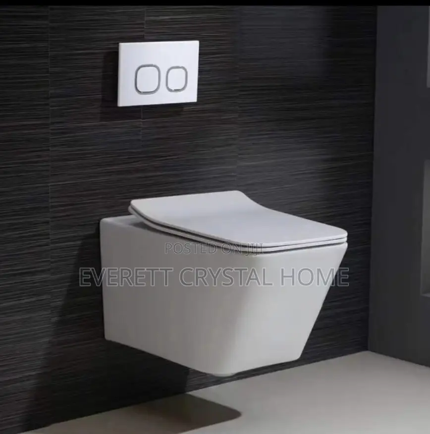 Wall Hung Water System