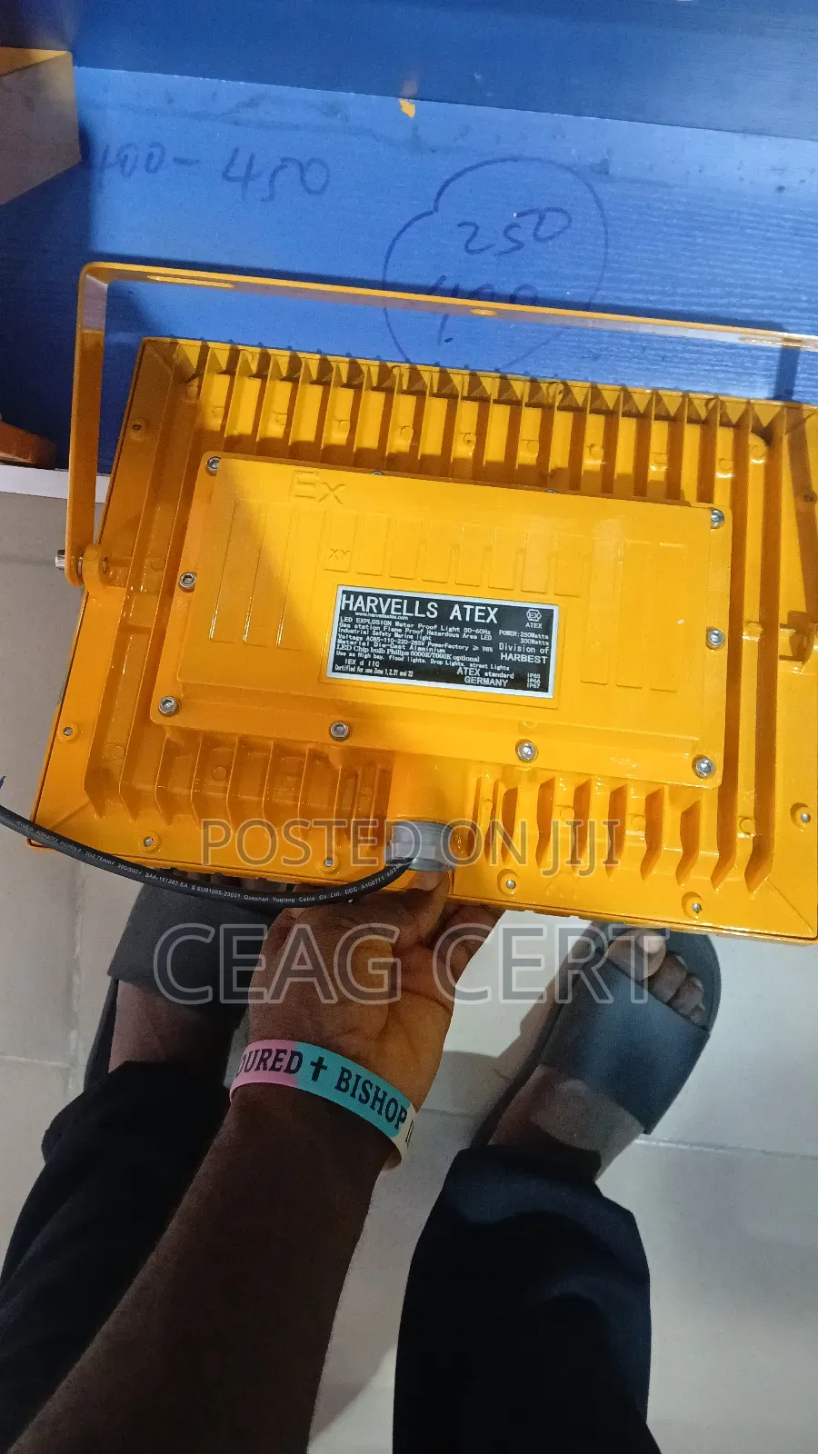 Ex Flood Light