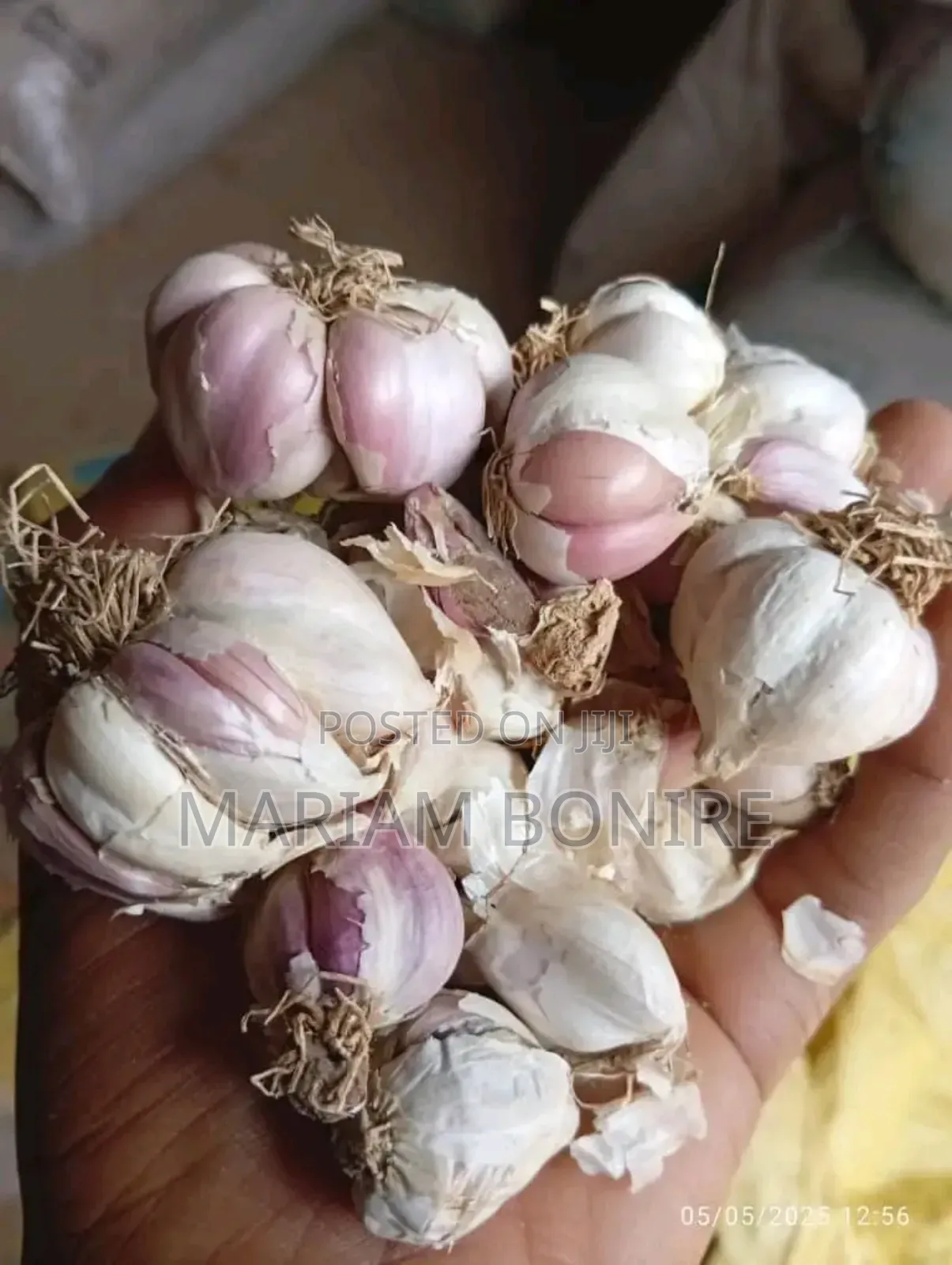 Garlic Spice