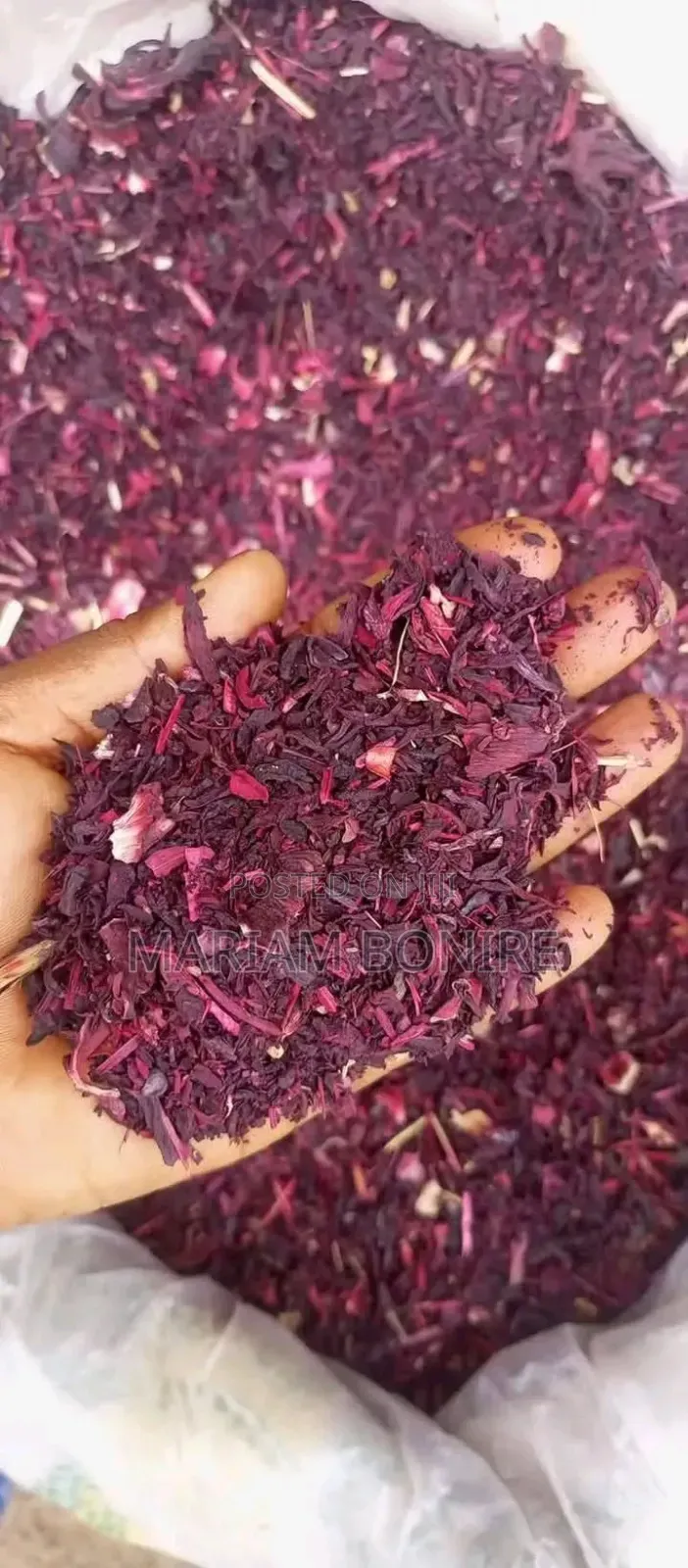 Zobo Pieces