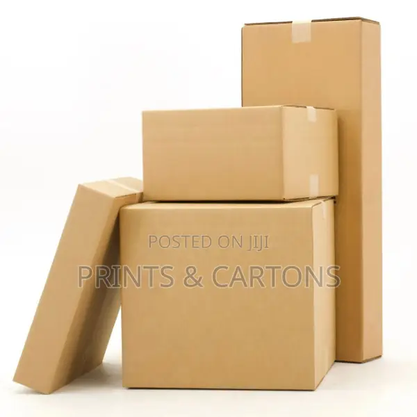 Brown Carton for Storage