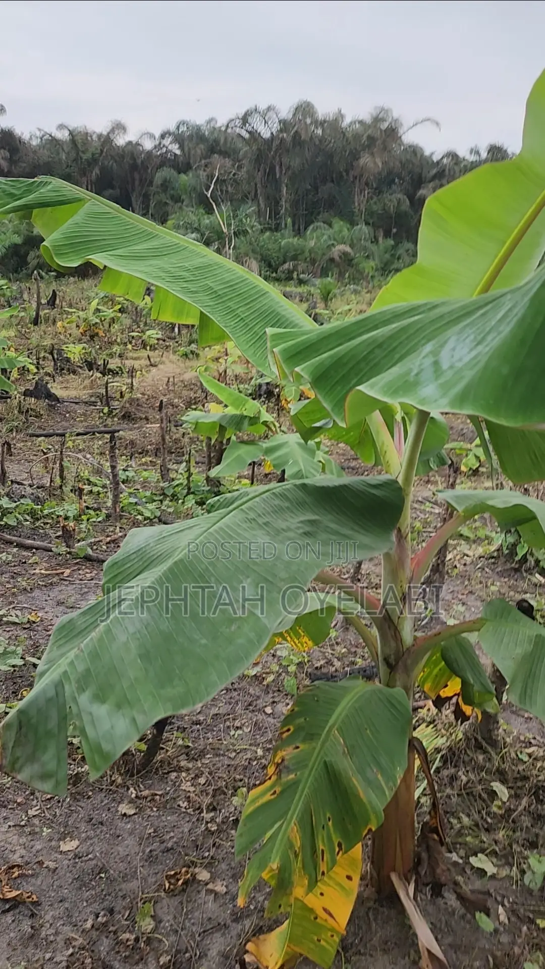4 Plots of Land for Sale in Epe