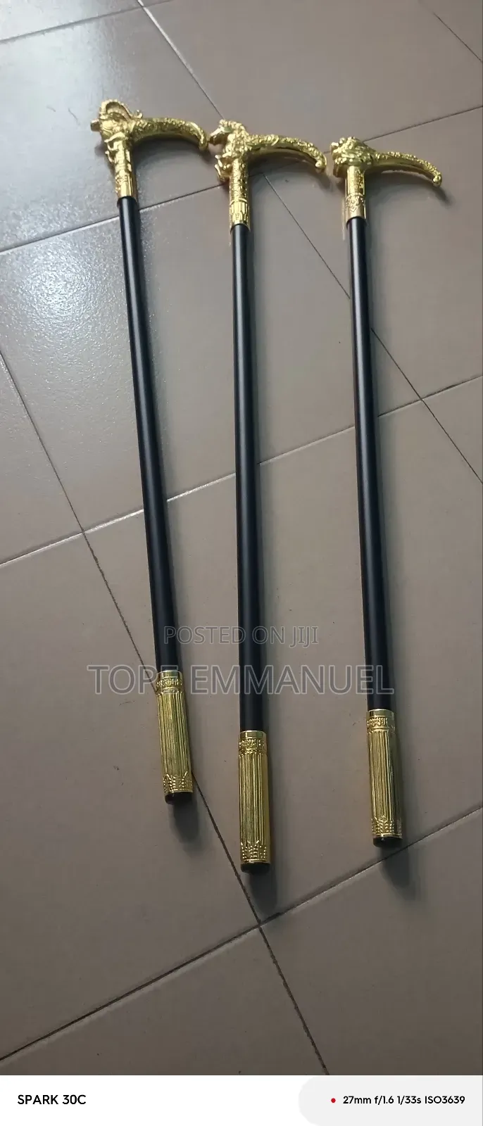 Fashionable Walking Stick or Canes