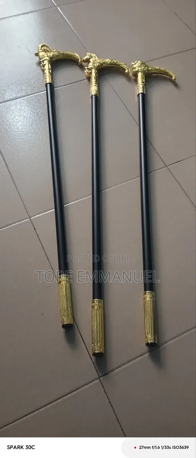 Fashionable Walking Stick or Canes