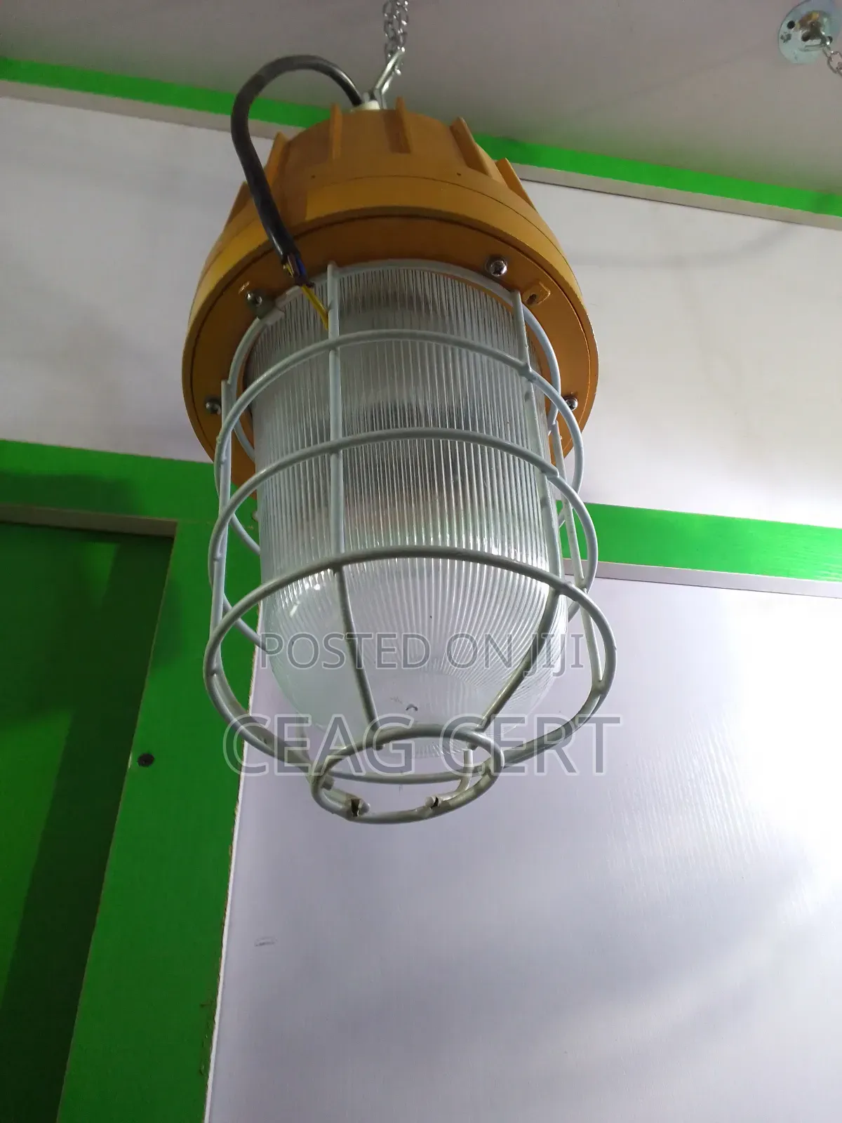 Ex Fire Proof Dropping Light