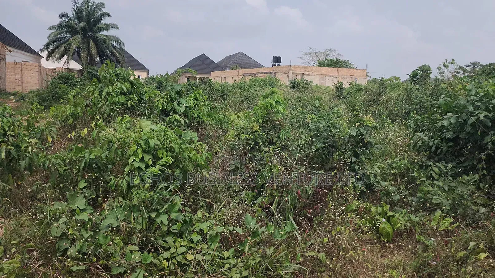 50ft by 100ft for Sale at Amagba Community