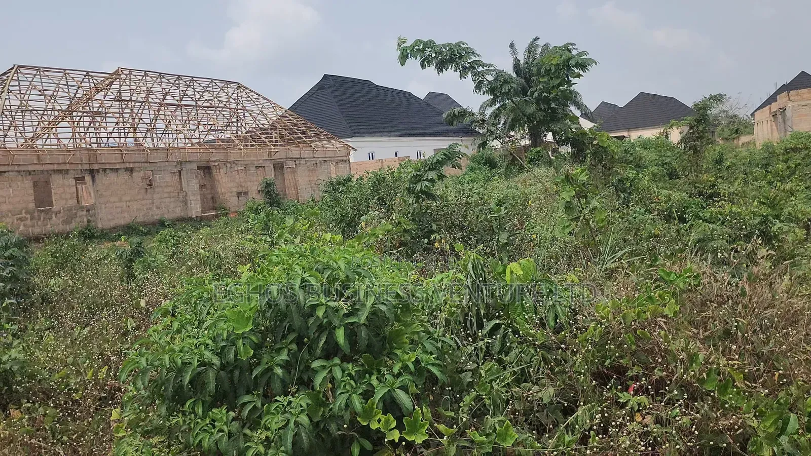 50ft by 100ft for Sale at Amagba Community