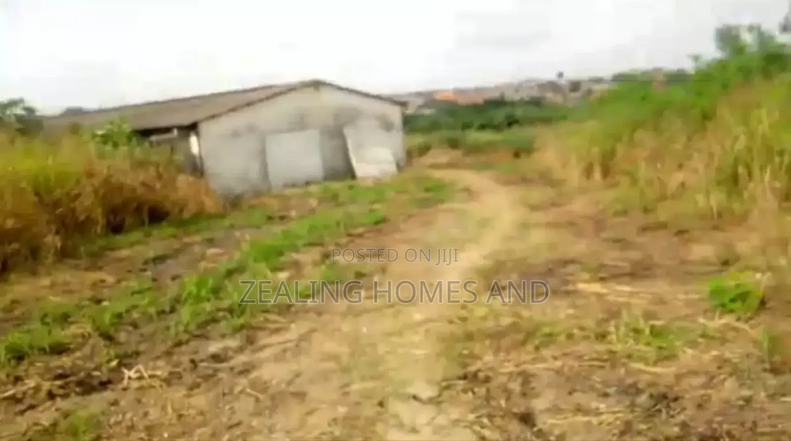 15 Acres of Land