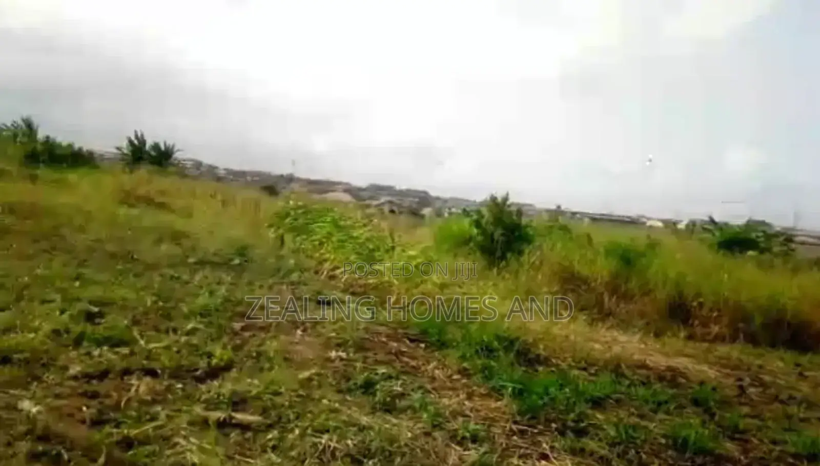 15 Acres of Land