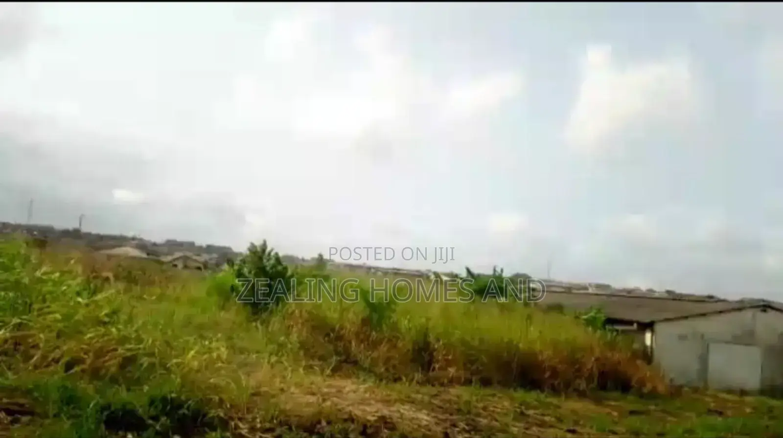 15 Acres of Land