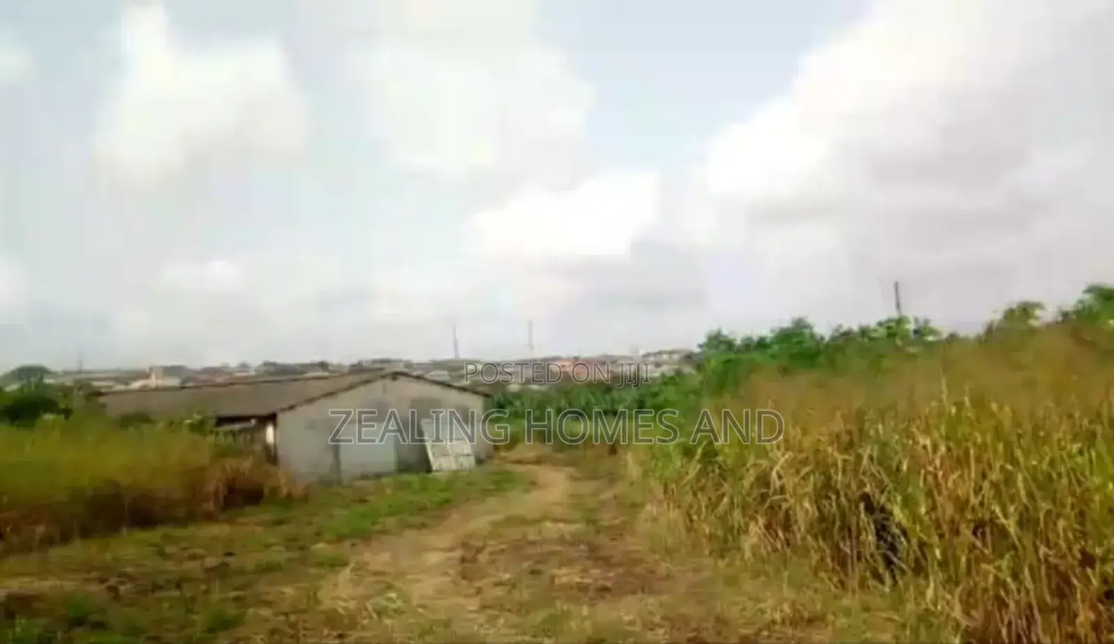 15 Acres of Land