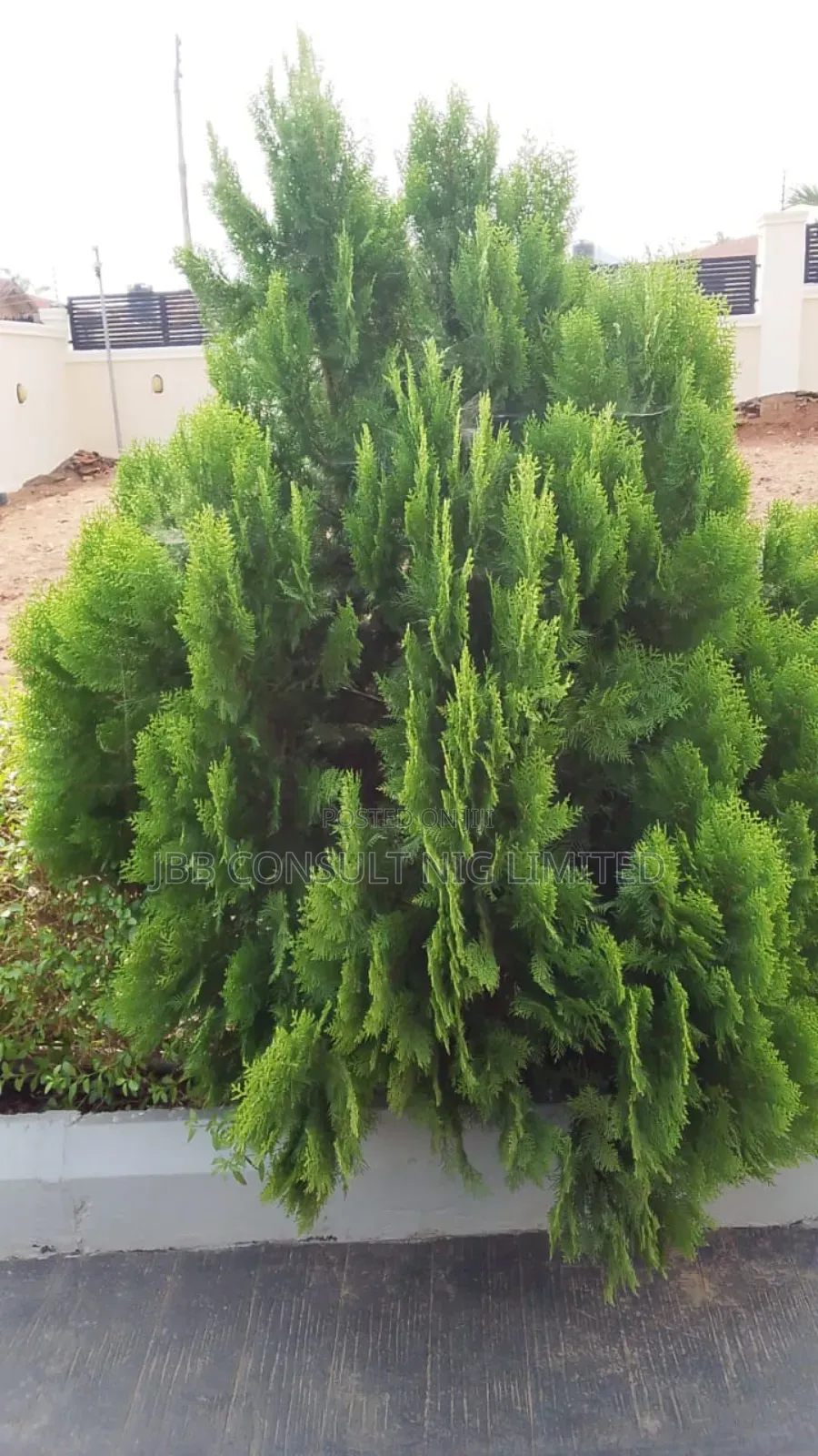 Horticultural Service