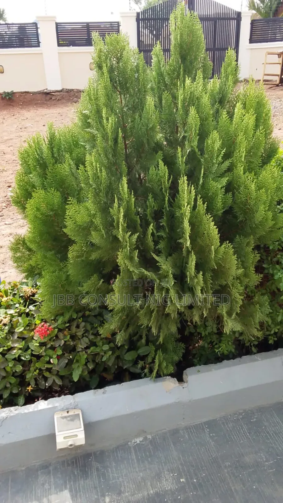 Horticultural Service