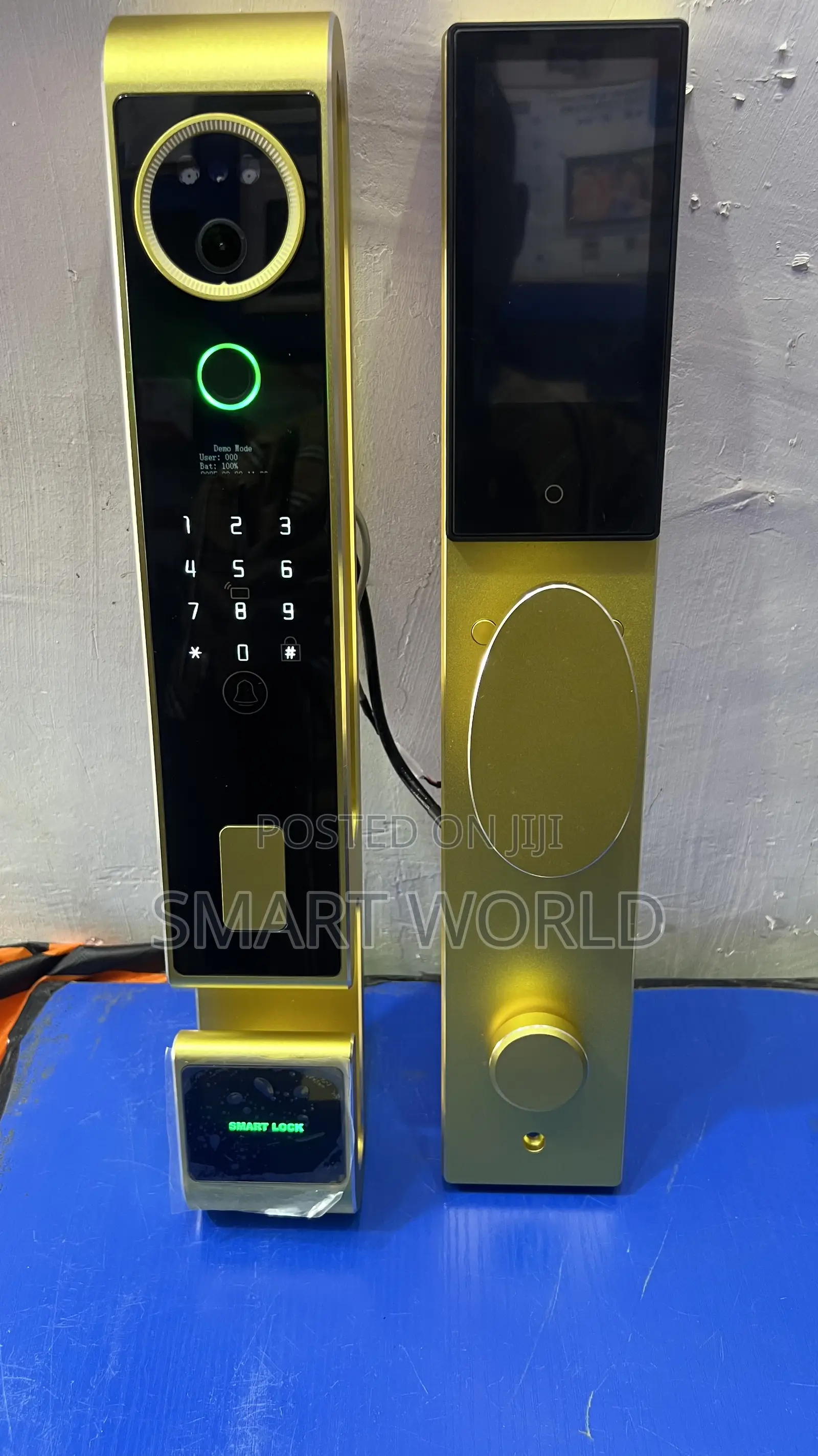 Luxury Face Recognition Smart Lock (Cb66)