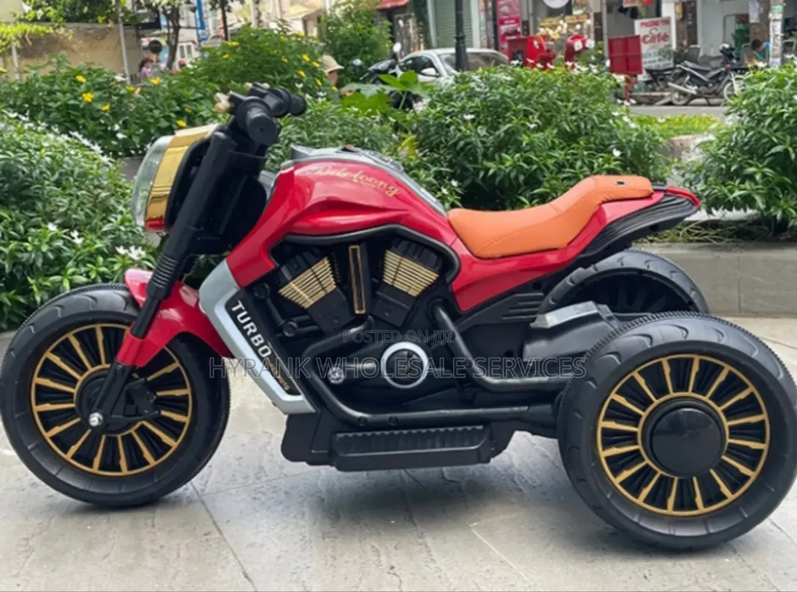 Kids Electric Bike