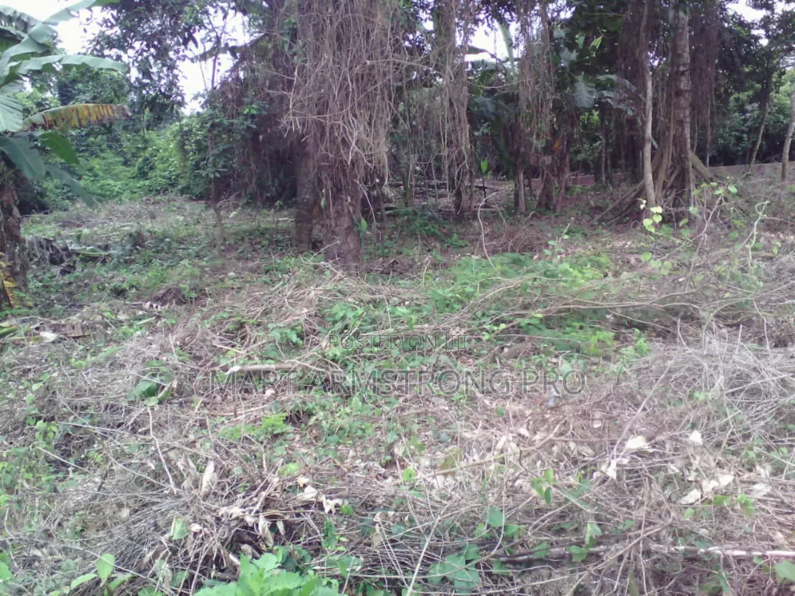 2 Plots of Land Together in a Good Fast Developing Locaion