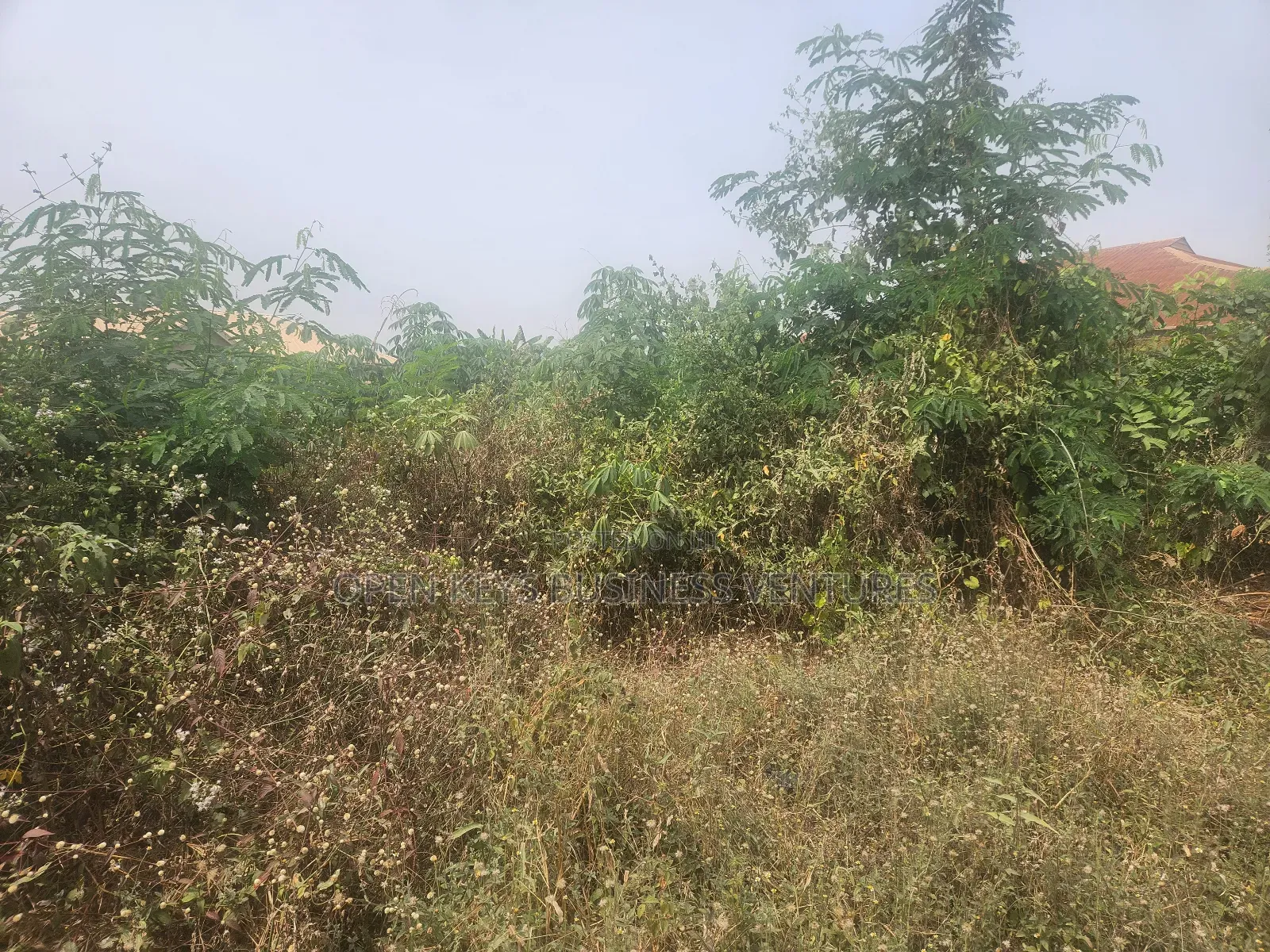 A Plot of Residential Land at All Saint Agbofieti