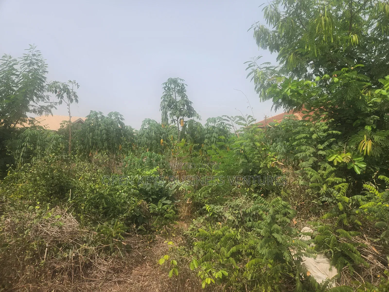 A Plot of Residential Land at All Saint Agbofieti
