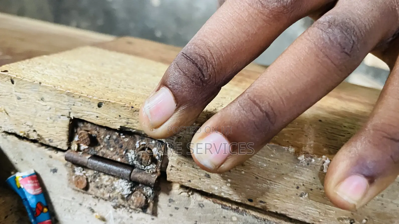 Standard Bedbugs Fumigation Service
