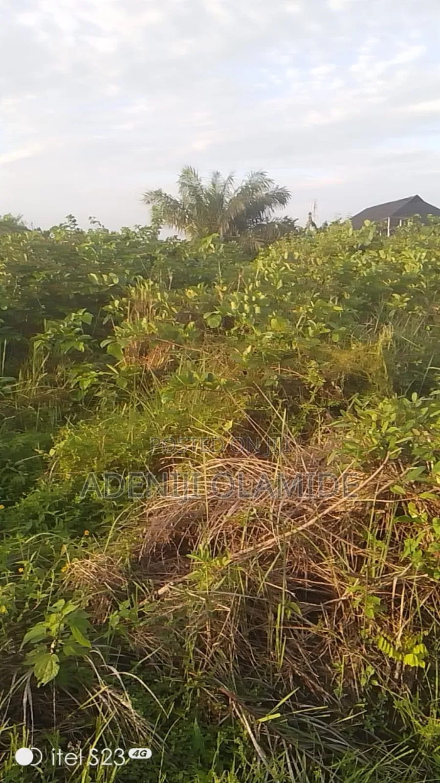 Land for Sale