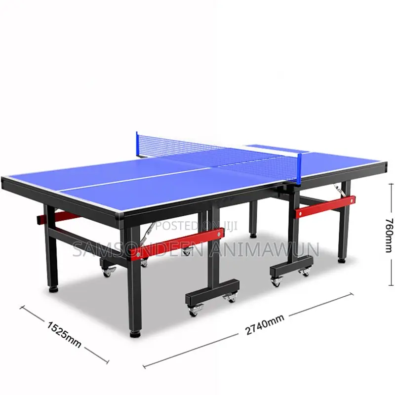 Professional Table Tennis Table For Sale