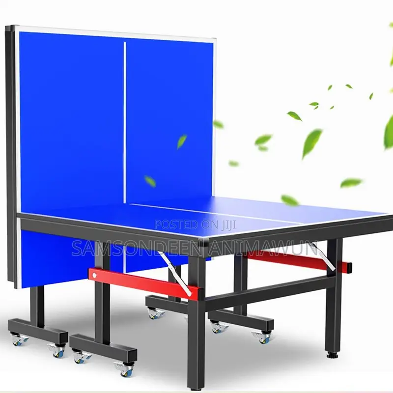 Professional Table Tennis Table For Sale