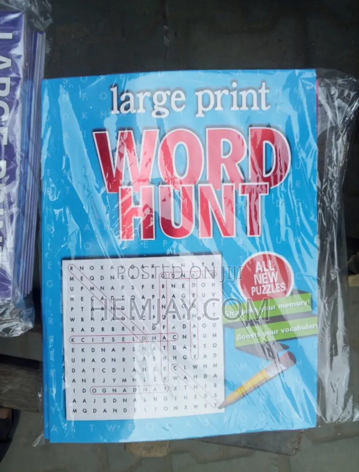 Word Hunt/ Search Puzzle Books (Sharpen Your Memory Boost Your Vocab